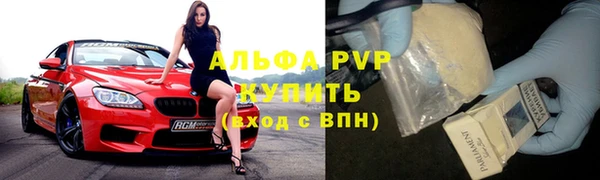 стафф Аркадак