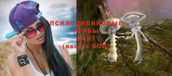 стафф Аркадак