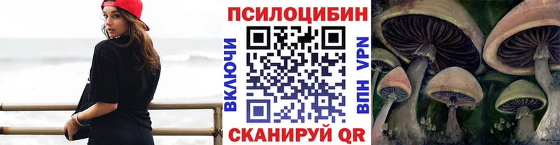 Псилоцибиновые грибы Psilocybe  Луховицы 